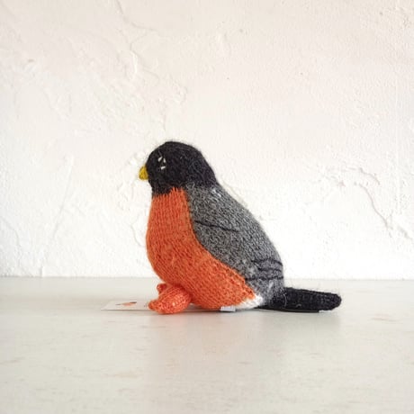 Birdwatching  ROBIN