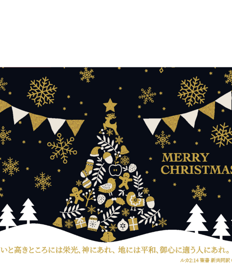 ティーバッグギフトセット  クリスマスパッケージver.3