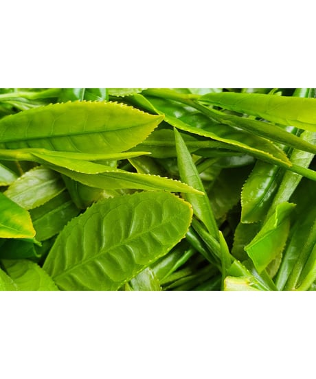 【2026年新茶/春野茶】新茶飲み比べギフトセット　※のし対応可