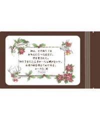 春野ほうじ茶ティーバッグ  クリスマスパッケージver.2