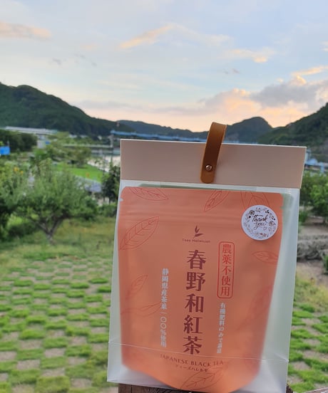 選べるコンビギフト