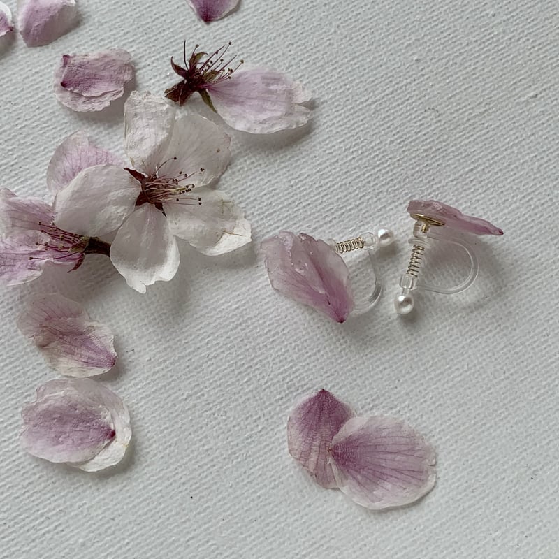淡い春〜桜の花びら〜イヤリング/ピアス | ch:farm