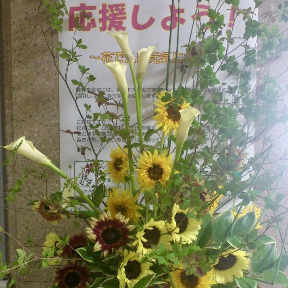 5f603dd58f2ebd3d6f9f8960