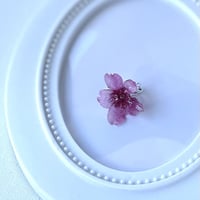 【1点限定】桜イヤカフ・マスクチャーム2023ver.