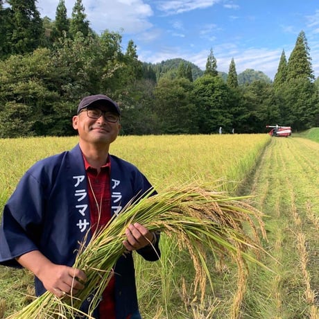 黄金色(愛亀)の稲穂ピアス/イヤリング〜新政酒造公認〜