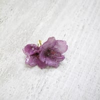 桜カフ〜緋寒桜2020〜