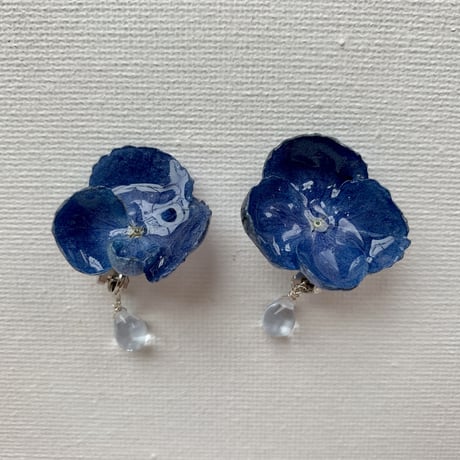 紫陽花と雨雫