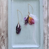 Dahlia feather