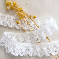 綿フリルトーションレース　【21729s】