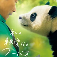 【限定特典あり】『私の親愛なるフーバオ』初回限定版DVD