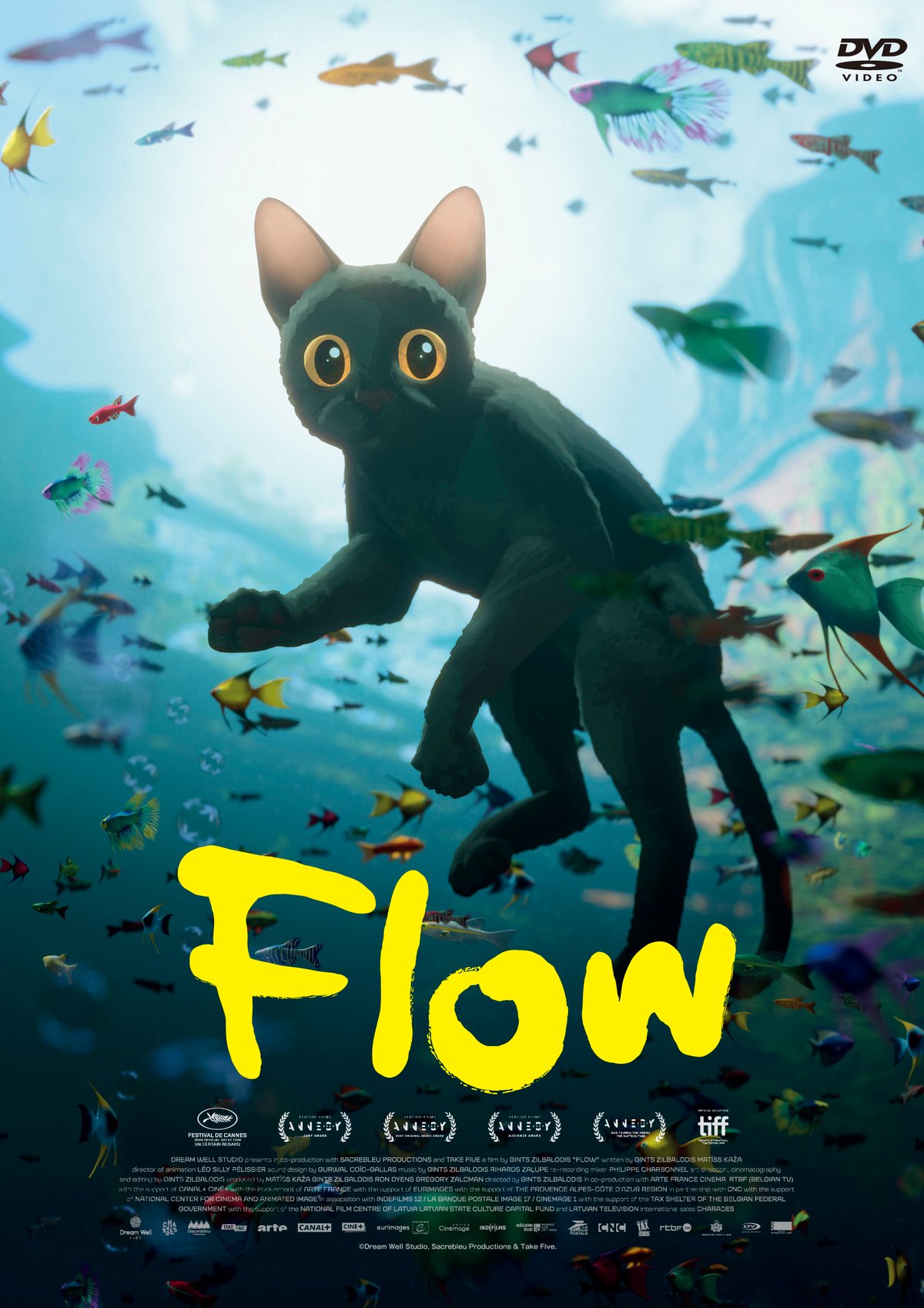 限定特典あり】『Flow』DVD | FINE FILMS's STORE