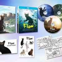 【限定特典あり】『Flow』初回限定版Blu-ray