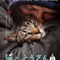 限定特典付き】『猫と、とうさん』DVD | FINE FILMS's STORE