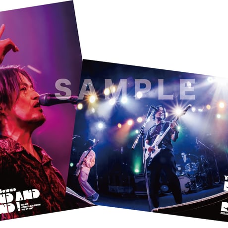 山中さわお『ROUND AND ROUND ! 2025.6.29 at SHIBUYA CLUB QUATTRO  “FED UP! TOUR”』