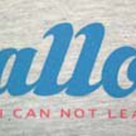 Mallory Lady's ラグラン ビッグ Tシャツ