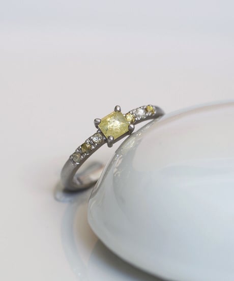 One of kind / Diamond Ring ＜Pt900＞ - R290CPT