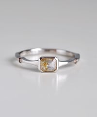One of a kind / Diamond Ring ＜PT900＞ - R373C