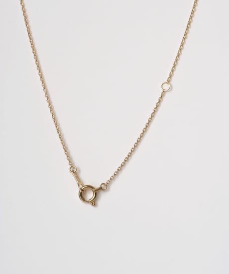 One of a kind / Natural Diamond Necklace ＜K18YG,PT950＞ - N364C