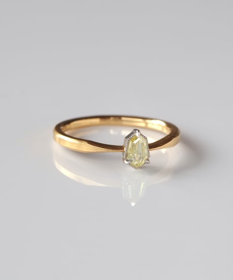 Fuligoshed / One of kind / Diamond Ring ＜K18YG＞ - R245YGPT