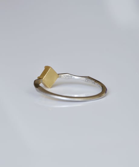 One of kind / Diamond Ring ＜Pt950/K18YG＞ - R377CPTYG