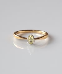 Fuligoshed / One of kind / Diamond Ring ＜K18YG＞ - R245YGPT