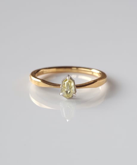 Fuligoshed / One of kind / Diamond Ring ＜K18YG＞ - R245YGPT