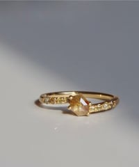 One of kind / Natural Diamond Ring ＜K18YG＞ -R520YG
