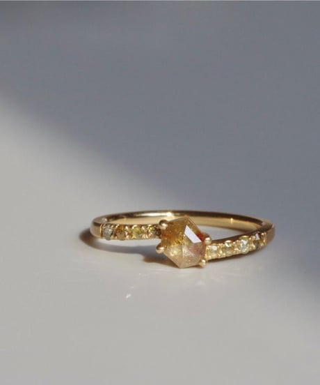 One of kind / Natural Diamond Ring ＜K18YG＞ -R520YG