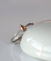 One of kind / Diamond Ring ＜Pt900＞ -R243CPT