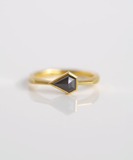 One of kind / Black Diamond ring ＜K18YG＞ - R597YG