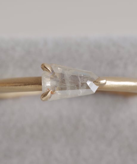 One of kind / Diamond Ring ＜K18YG＞ - R329C