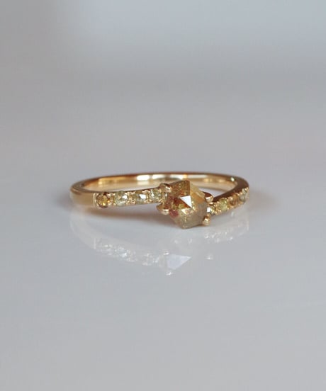 One of kind / Natural Diamond Ring ＜K18YG＞ -R520YG