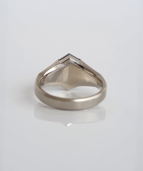 One of kind / Black Diamond ring ＜Pt＞ - R3152PT