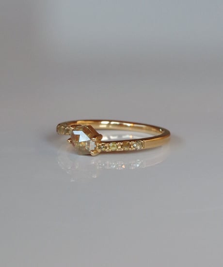 One of kind / Natural Diamond Ring ＜K18YG＞ -R520YG