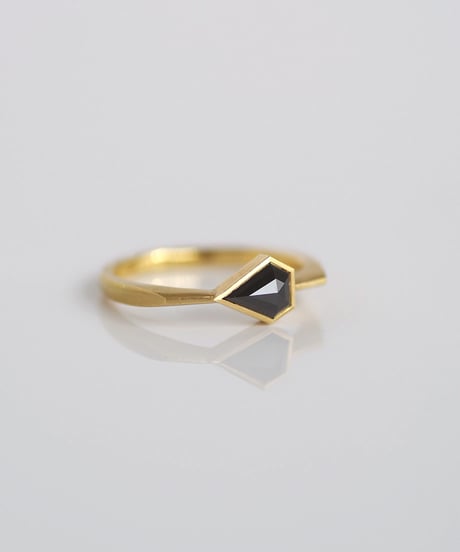 One of kind / Black Diamond ring ＜K18YG＞ - R597YG