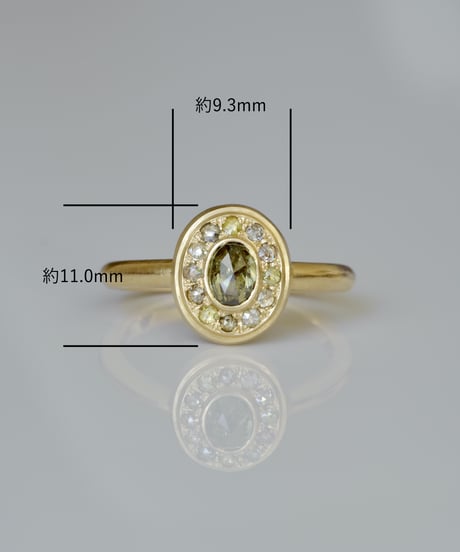 One of kind / Diamond Ring ＜K18YG＞ - R570CYG