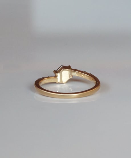 One of kind / Natural Diamond Ring ＜K18YG＞ -R520YG