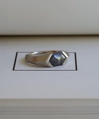 One of kind / Black Diamond ring ＜Pt＞ - R1828PT