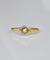 One of kind / Diamond Ring ＜K18YG＞ -OAK-R933CYGPT
