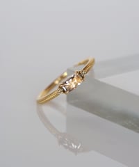 One of kind / Natural Diamond Ring ＜K18YG＞ - R541YG