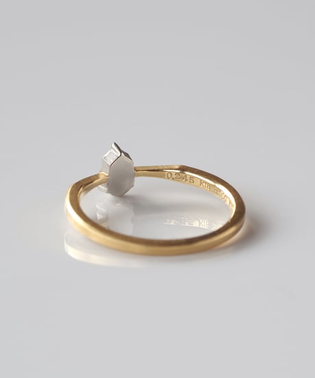 Fuligoshed / One of kind / Diamond Ring ＜K18YG＞ - R245YGPT