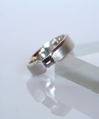 One of kind / Natural Diamond Ring ＜Pt＞ - R398PT