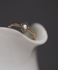 One of kind / Diamond Ring ＜K18YG＞ - R220CYG