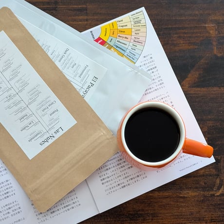 【送料無料】"WashedとNaturalを見極める" Coffee Tasting Guide