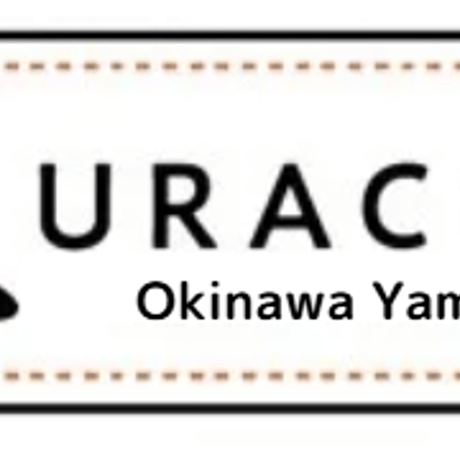 URACHIイモリ刺しゅうTシャツ＜イエロー／パープル＞