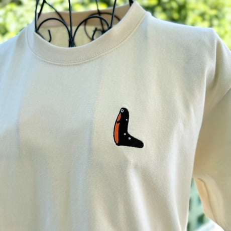 岸本ウラチ　シリケンイモリ Amazon.co.jp: 岸本ウラチ シリケンイモリ 魚 ヤマトビ 沖縄