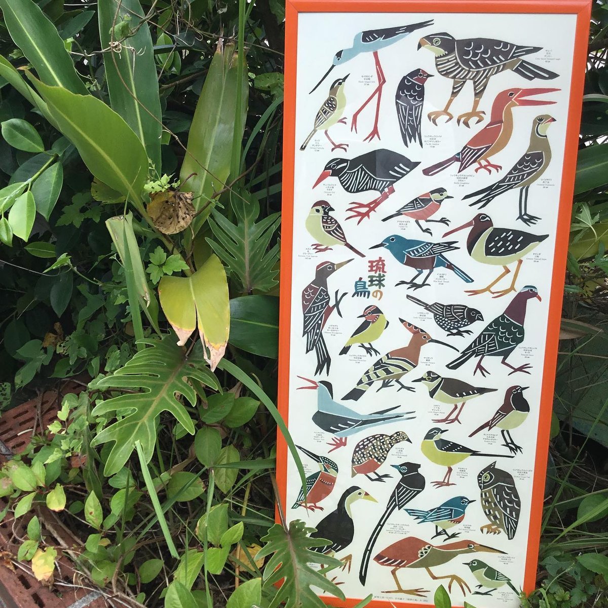 fit=scale-down,w=1200