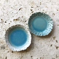 螢窯　サンゴ小皿