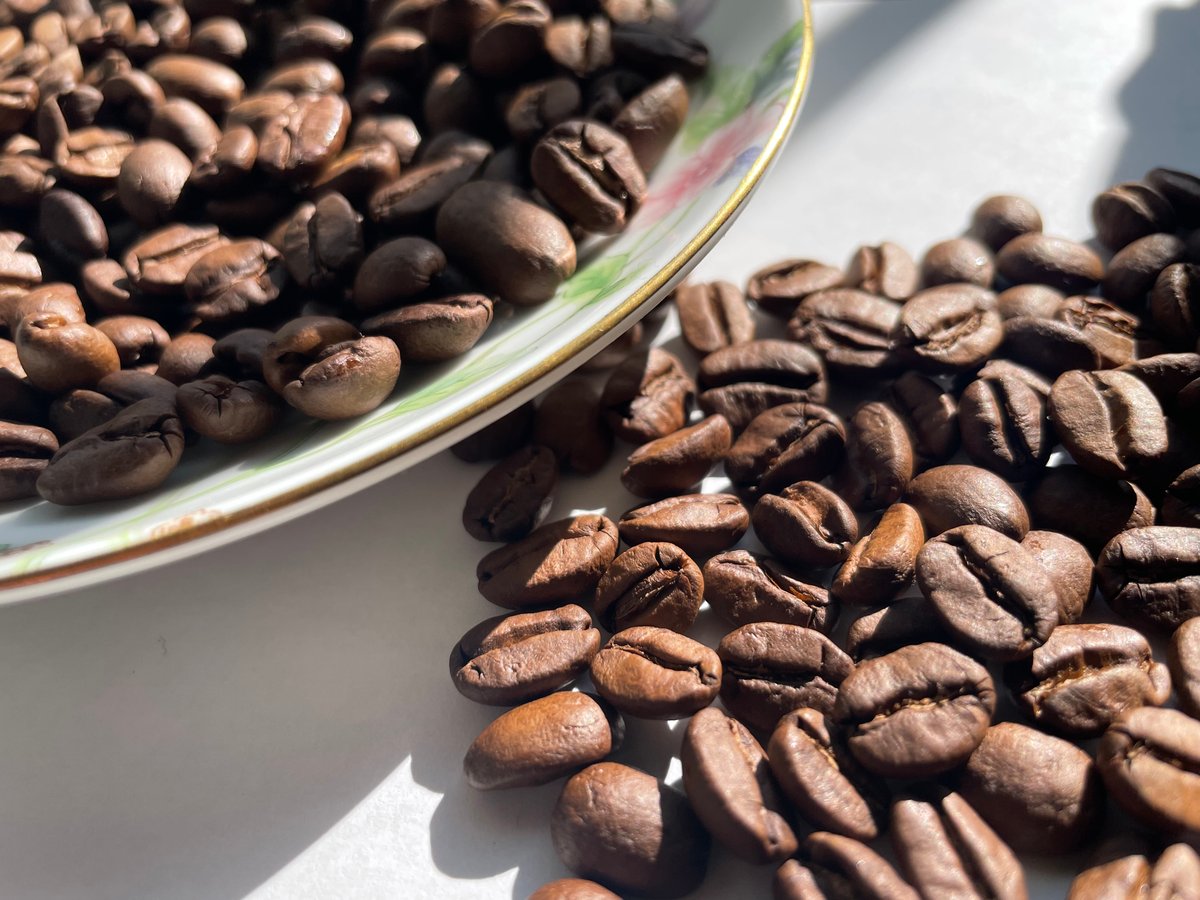 ニカラグア カサブランカ農園 カツーラ ナチュラル (200g) | noki