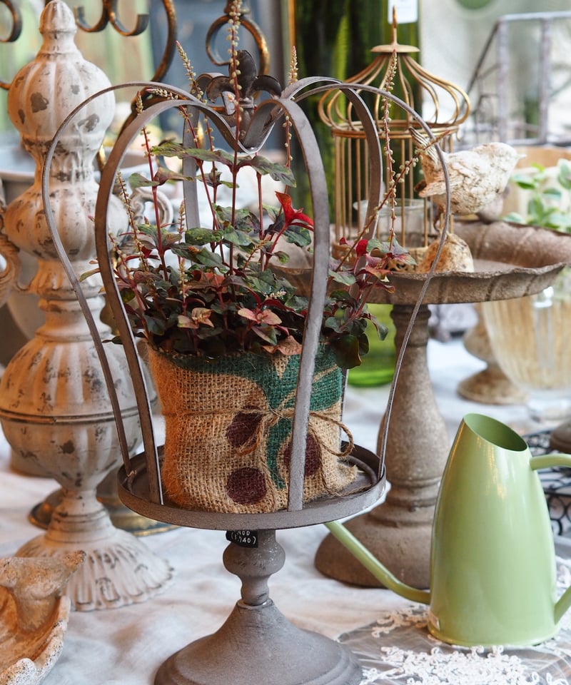 クラウン型スタンド | gris garden plants STORE